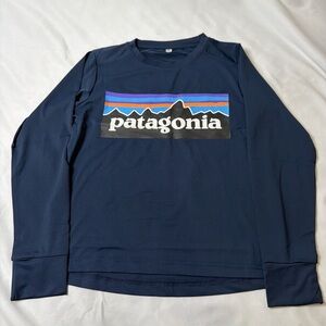 Patagonia Blue Long Sleeve with Mountain Graphic